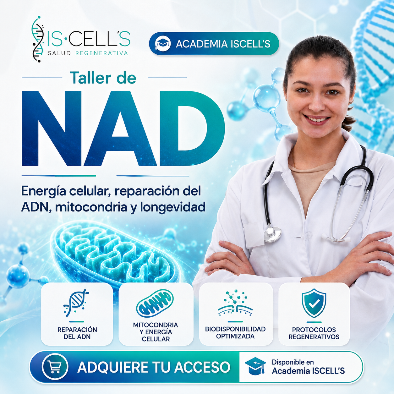 taller woo nad